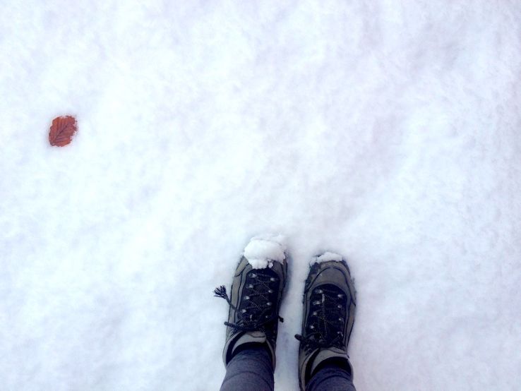 Adrenaline Snowshoeing Trip Packages