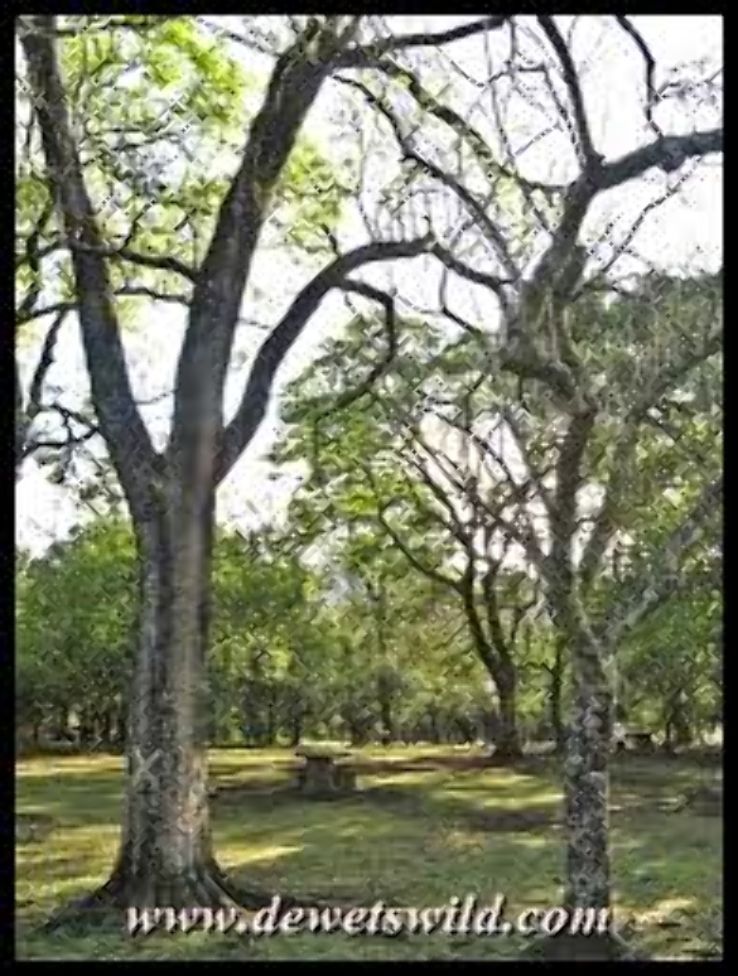 Queen Elizabeth Nature Reserve Trip Packages