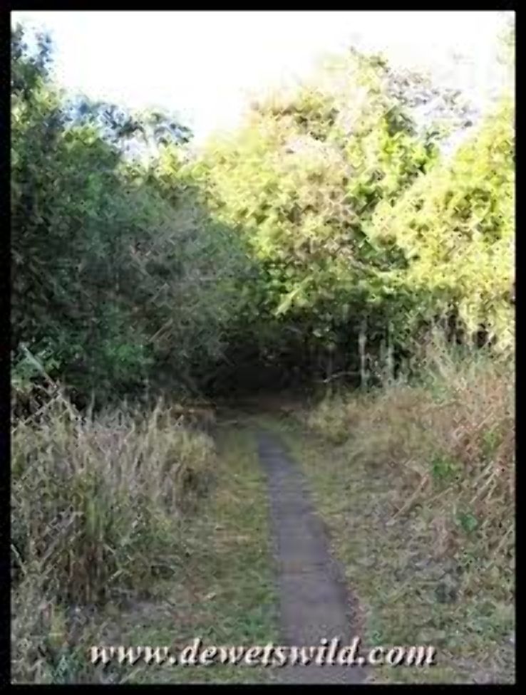 Queen Elizabeth Nature Reserve Trip Packages