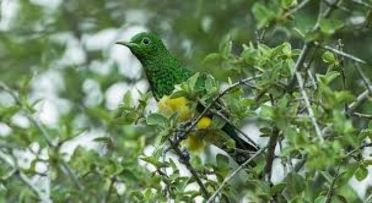 Queen Elizabeth Nature Reserve Trip Packages