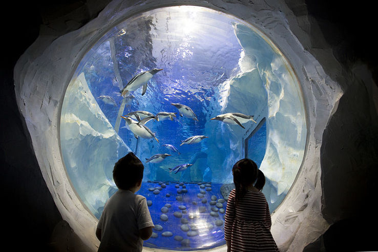 National Sea Life Center  Trip Packages