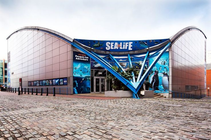 National Sea Life Center  Trip Packages