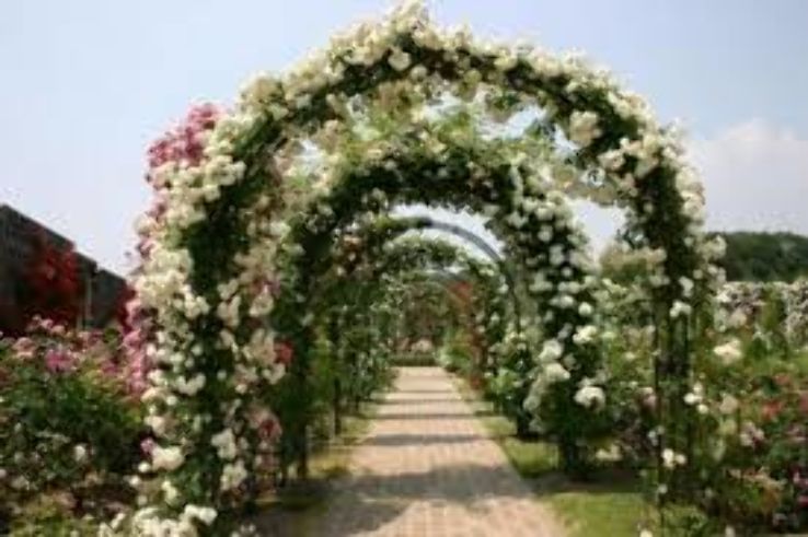 Hana Festa Memorial Park Trip Packages