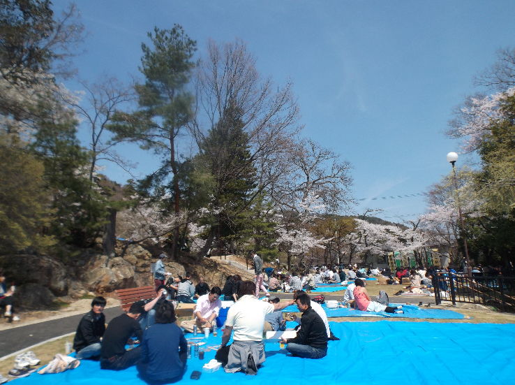 Mt. Shinobu Trip Packages