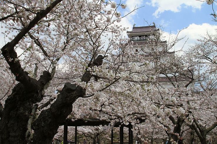 Fukushima Castle Trip Packages