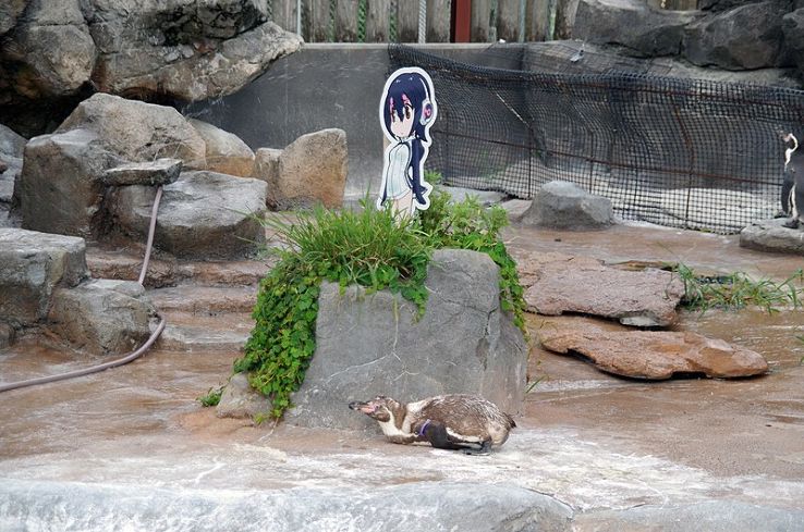 Tobu Zoo Trip Packages