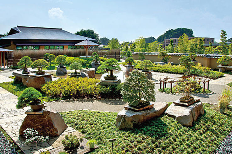 omiya Bonsai Village Trip Packages
