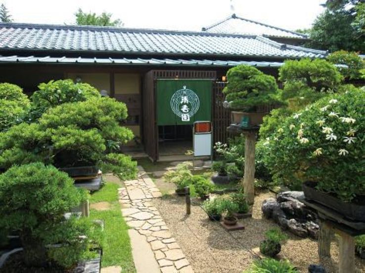 omiya Bonsai Village Trip Packages