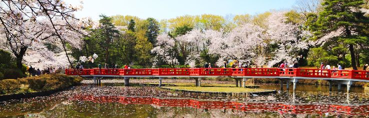 Iwatsuki park Trip Packages