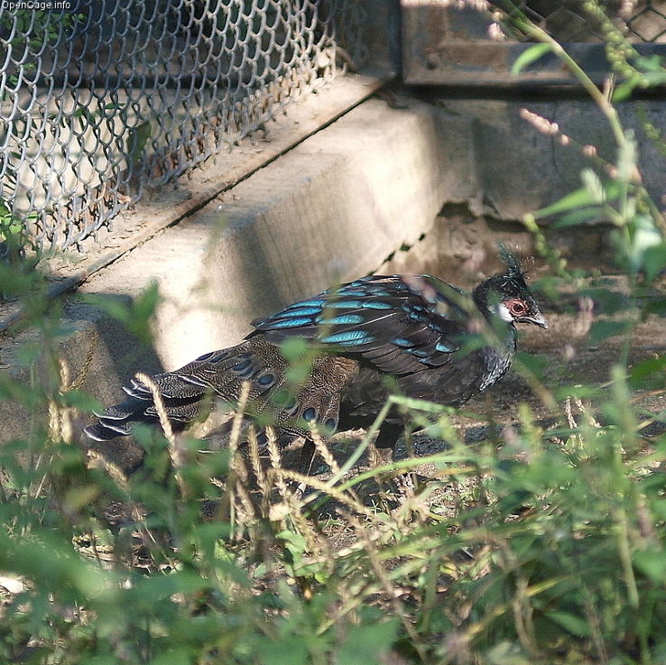 Tama Zoological Park Trip Packages