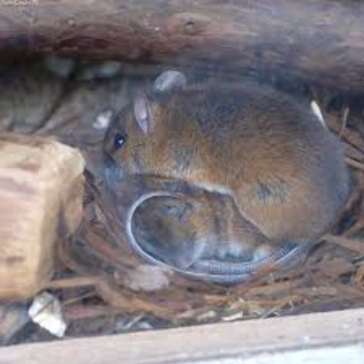 Tama Zoological Park Trip Packages