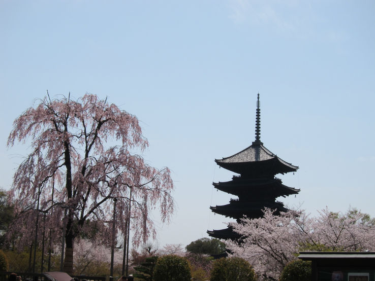 To-ji Trip Packages