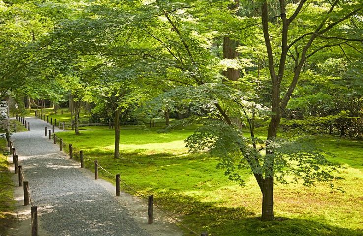 Sanzen-in Trip Packages