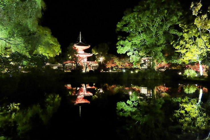 Daikaku-ji Trip Packages