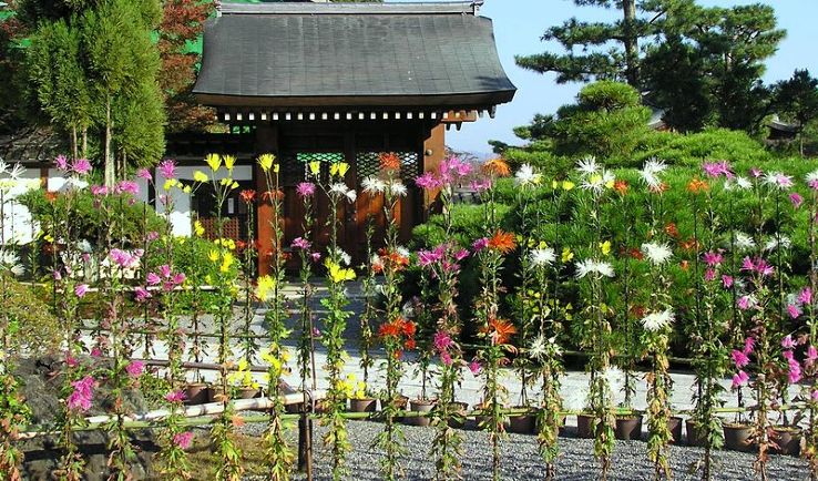 Daikaku-ji Trip Packages