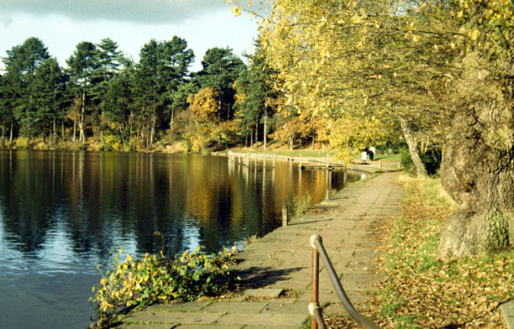 Sutton Park  Trip Packages