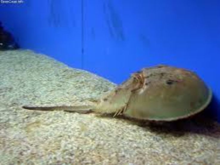 Suma Aqualife Park Trip Packages