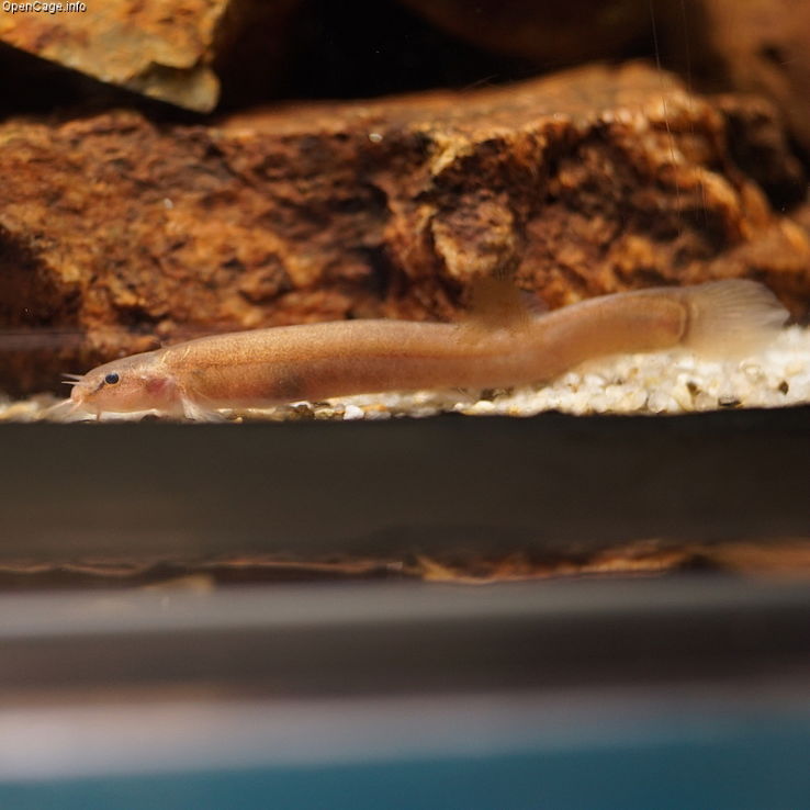 Suma Aqualife Park Trip Packages