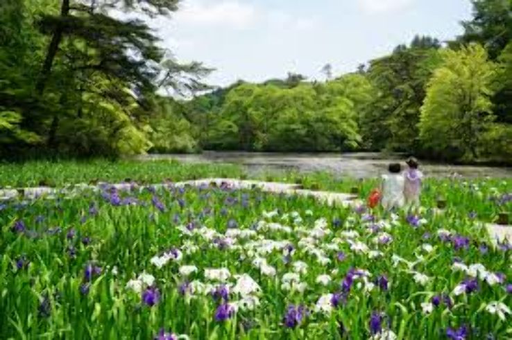 Kobe Municipal Arboretum Trip Packages