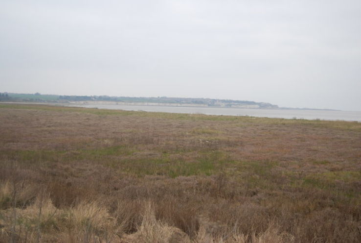 Pegwell Bay Trip Packages