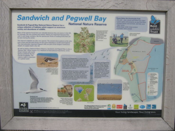 Pegwell Bay Trip Packages