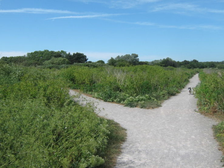 Sandwich and Pegwell Bay Nature Reserve Trip Packages