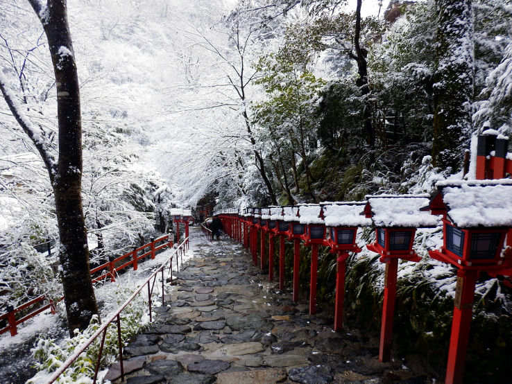 Kifune Shrine Trip Packages