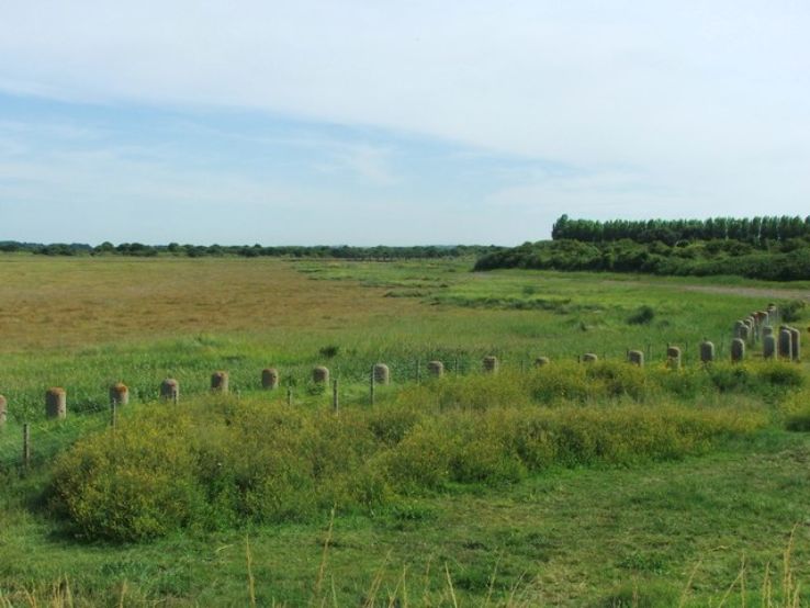 Pagwell Bay Country Park Trip Packages