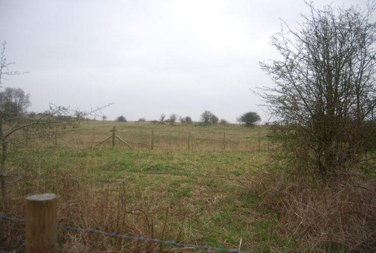 Pagwell Bay Country Park Trip Packages