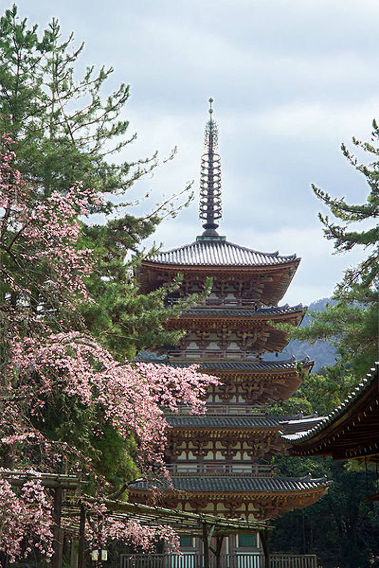 Daigo-ji Trip Packages