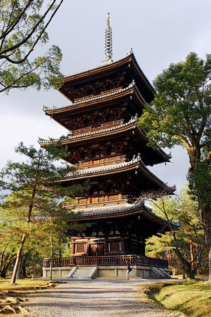 Ninna-ji Trip Packages