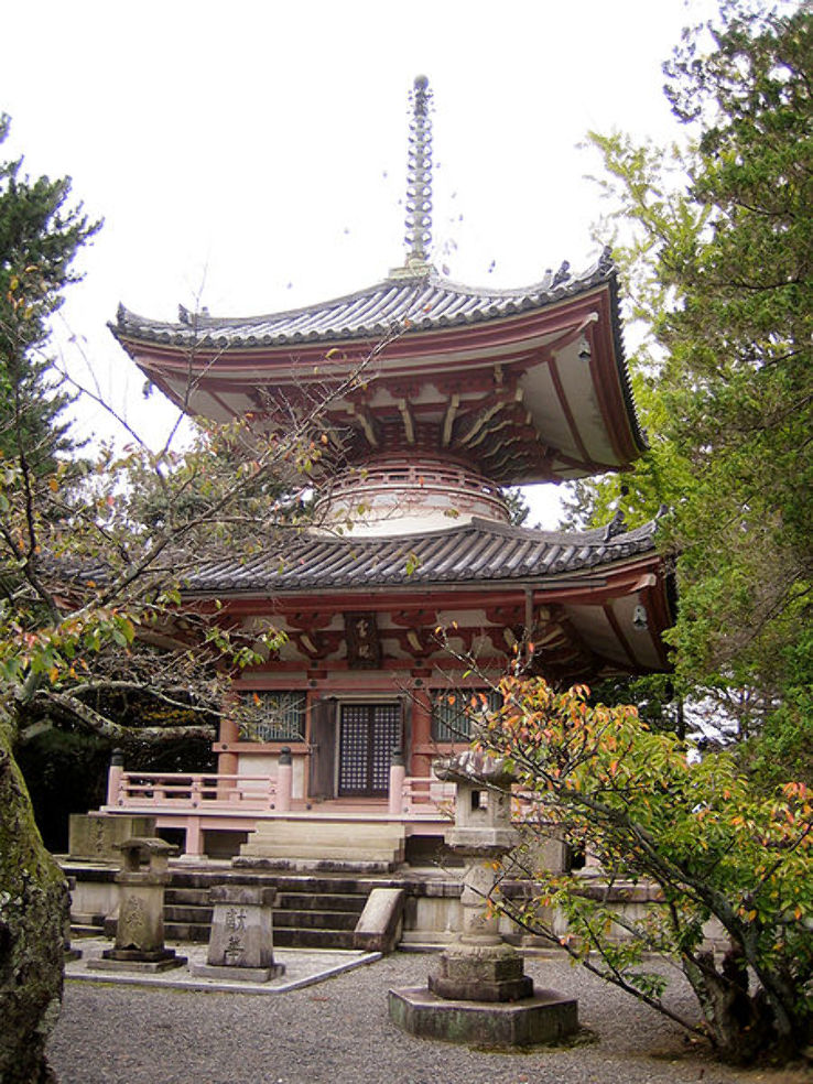 Chion-in Trip Packages