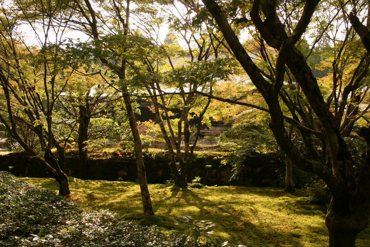 Saiho-ji Trip Packages