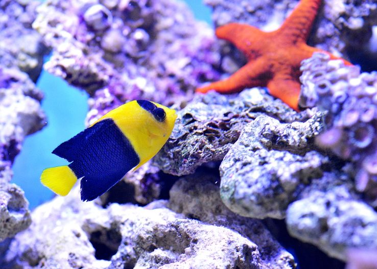 Zee Aquarium  Trip Packages