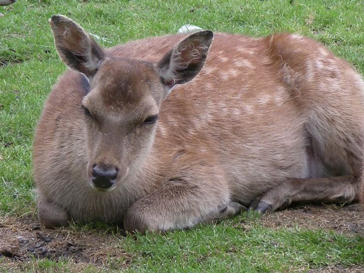 Van Blanckendaell Park  Trip Packages