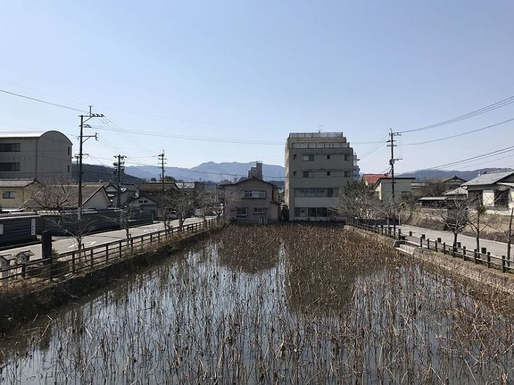 Aso Shrine Trip Packages