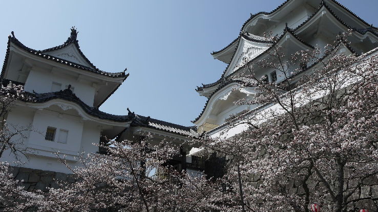 Iga Ueno Castle Trip Packages