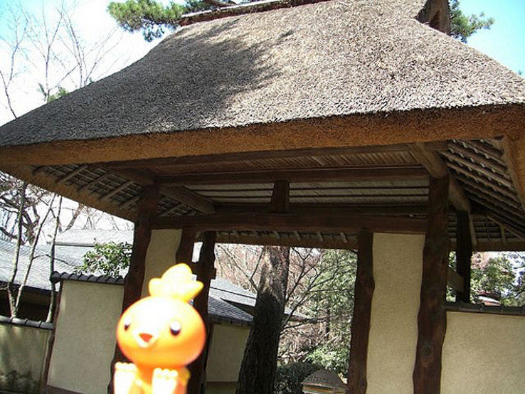 Haiseiden Trip Packages