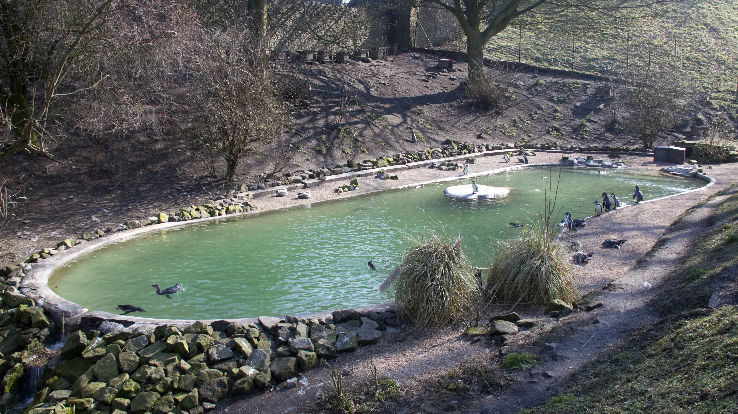 Dudley Zoo Trip Packages