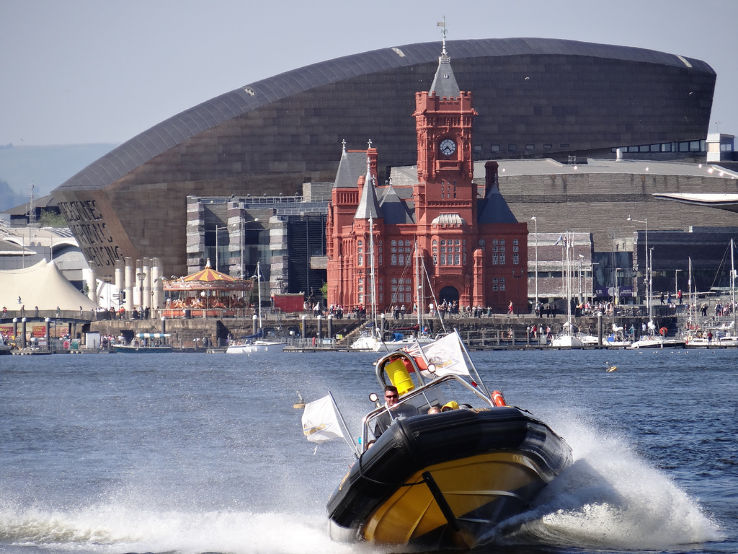 Bay of Cardiff Trip Packages