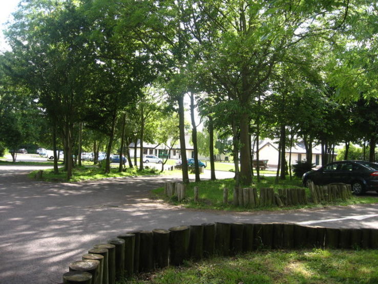 Cosmeston Lakes Country Park  Trip Packages