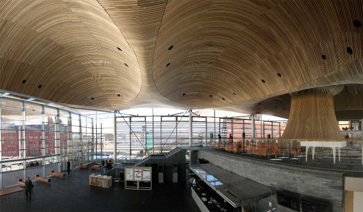 Senedd Trip Packages