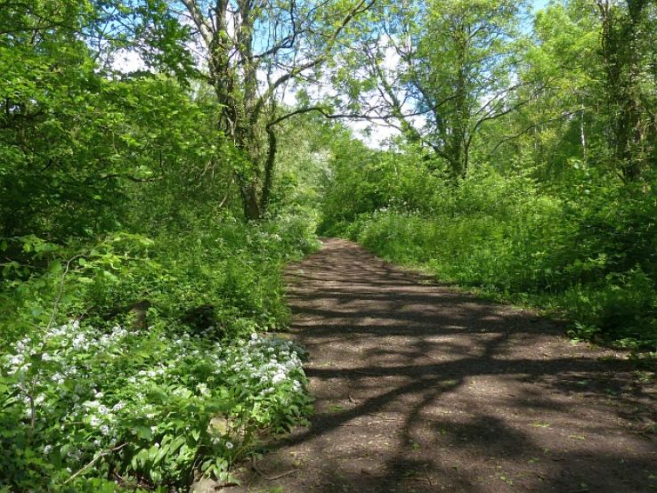 Howardian Local Nature Reserve  Trip Packages