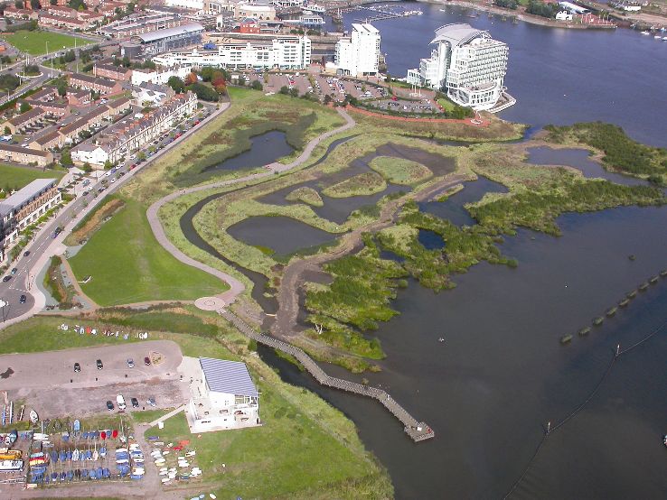 Cardiff Bay Wetlands Reserve  Trip Packages