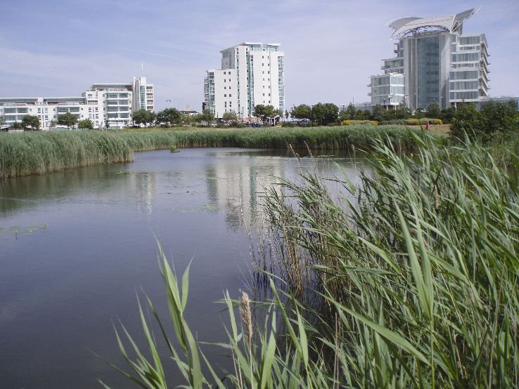 Cardiff Bay Wetlands Reserve  Trip Packages