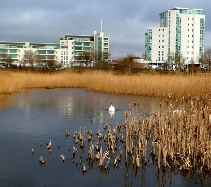 Cardiff Bay Wetlands Reserve  Trip Packages