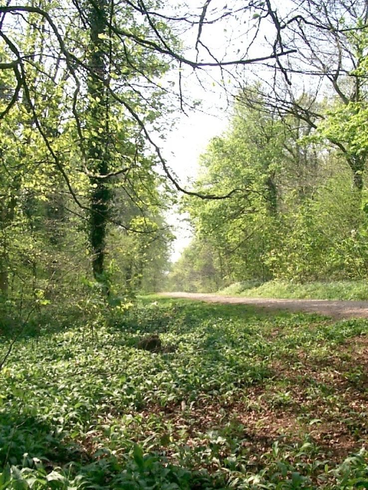 Fforest Fawr  Trip Packages