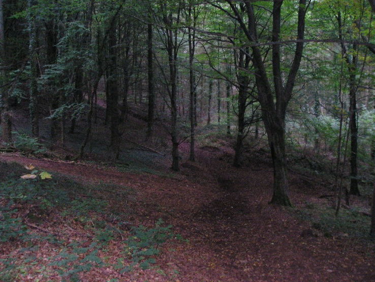 Fforest Fawr  Trip Packages