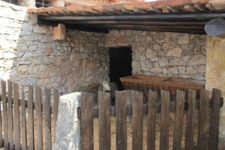 House of Lucia Trip Packages