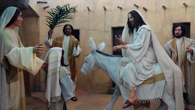 Museu Vida de Cristo Trip Packages